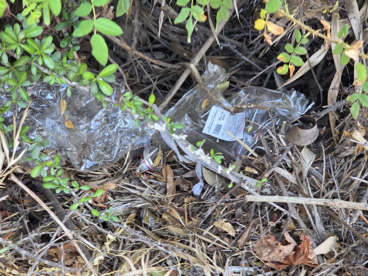 Plastic in vegetation