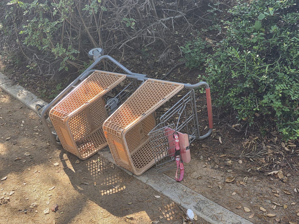 Dumped shopping cart