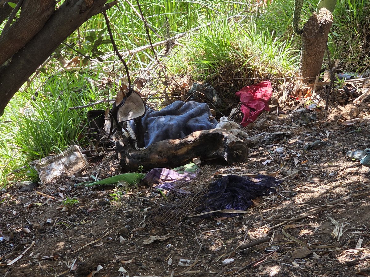 Clothing and debris in brush
