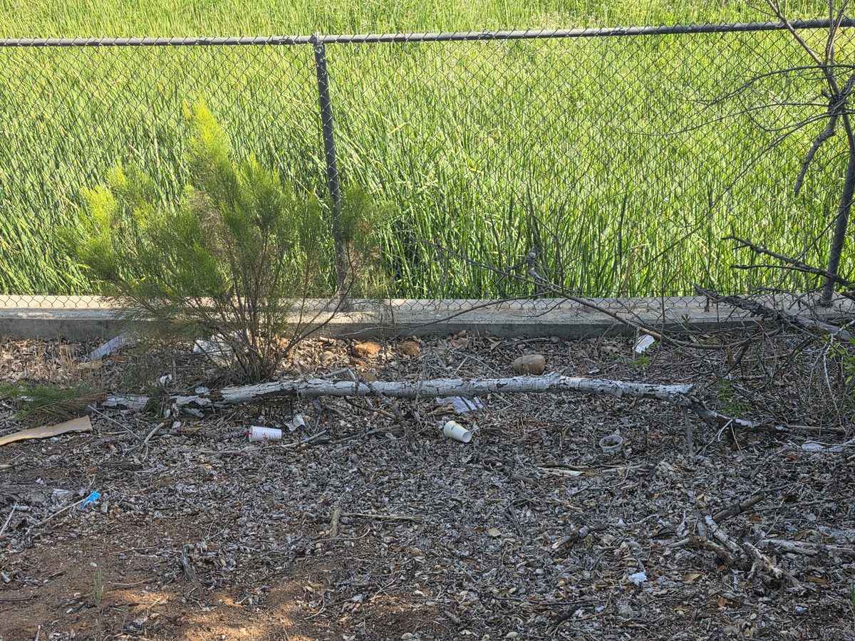 Fast food cups and trash along trail